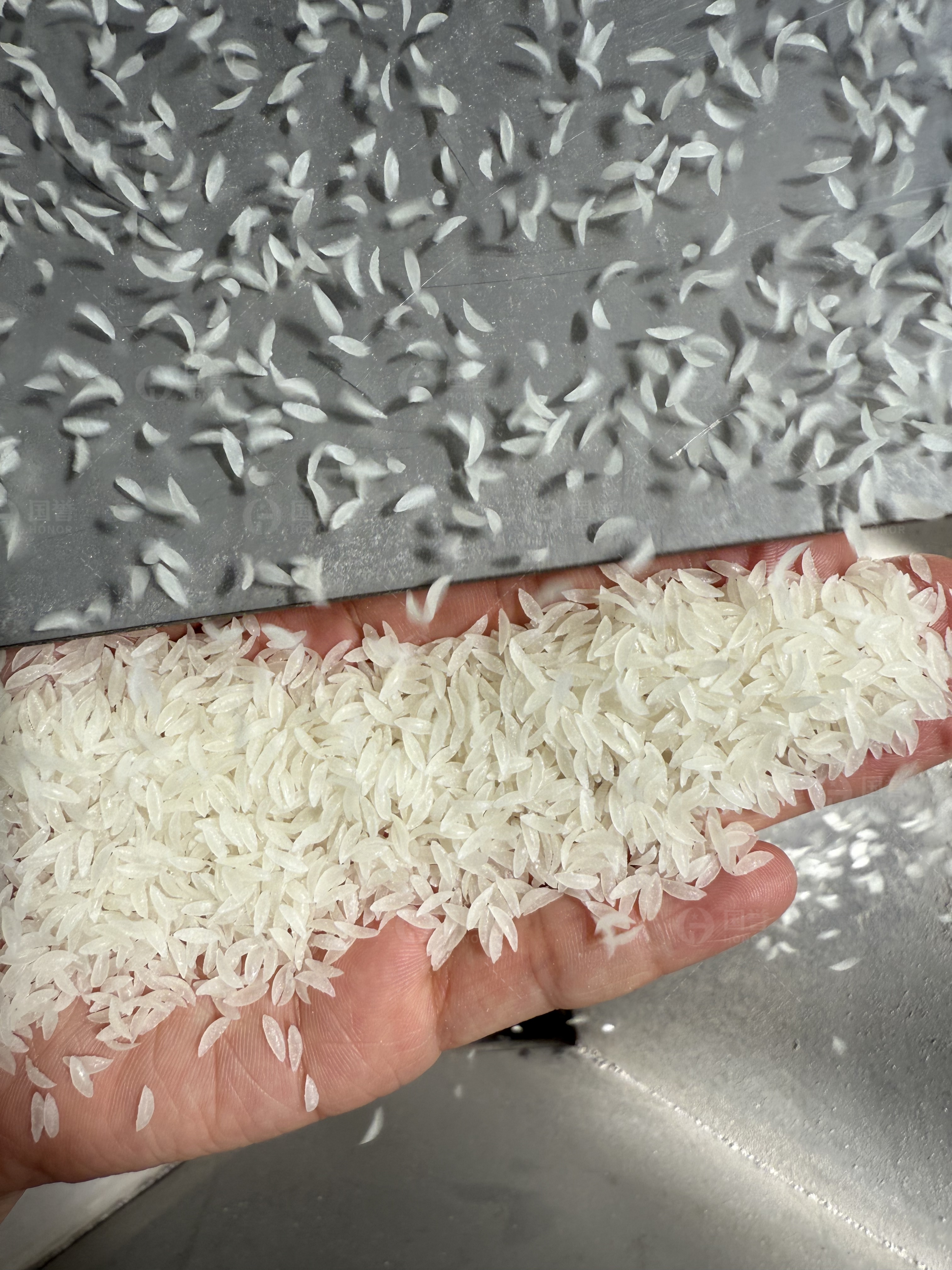 丽江营养米生产线-客户工厂